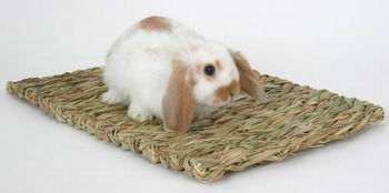 grass rabbit mat