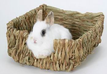 grass rabbit mat